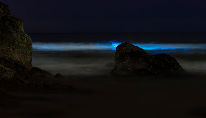 This picture shows a view of the sea lit up due to abundance of plankton. — Instagram/@the_dark_photographer_in_wales