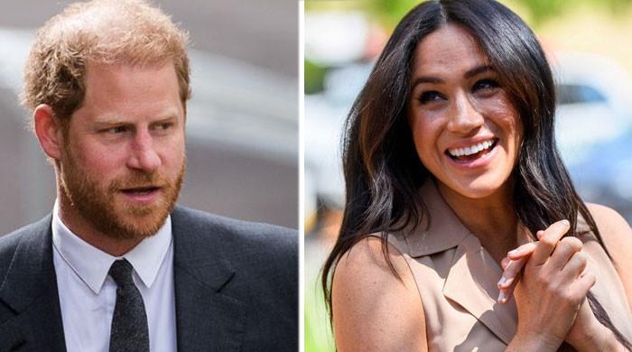 Prince Harry, Meghan Markle Can ‘never Hope To Stabilize’ After 