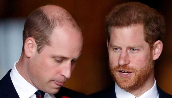 Prince William with his brother Prince Harry