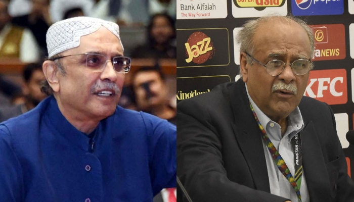 PPP Co-chairman Asif Ali Zardari (left) and Najam Sethi. — PPI/Online/File