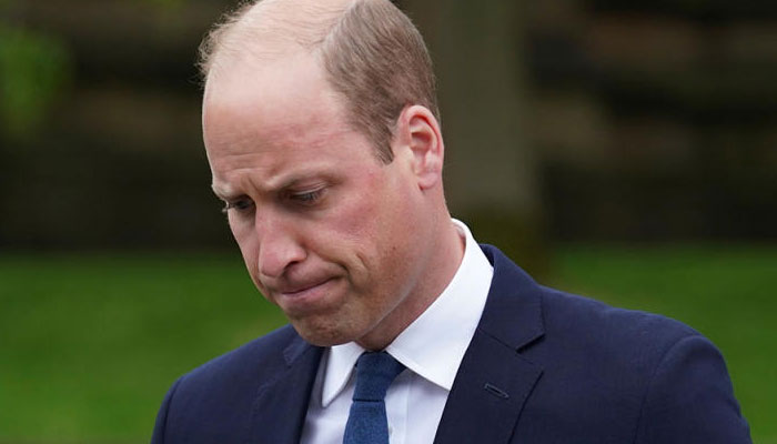 Prince William facing ‘a galling, frustrating, wing-clipping experience’