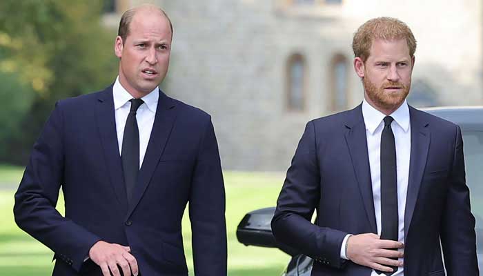 Prince William reminded of his absence after Harry was rendered homeless