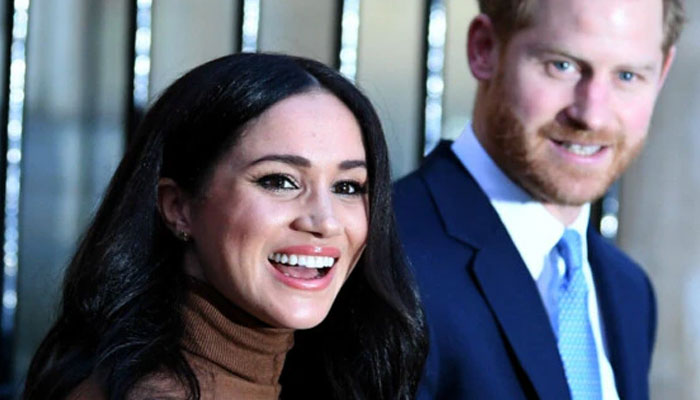 Meghan Markle, Prince Harry ill-equipped for a real job: Expert