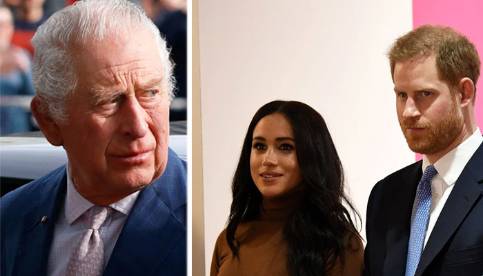 Prince Harry, Meghan Markle are ‘bitter, grenade throwers on a kamikaze mission’