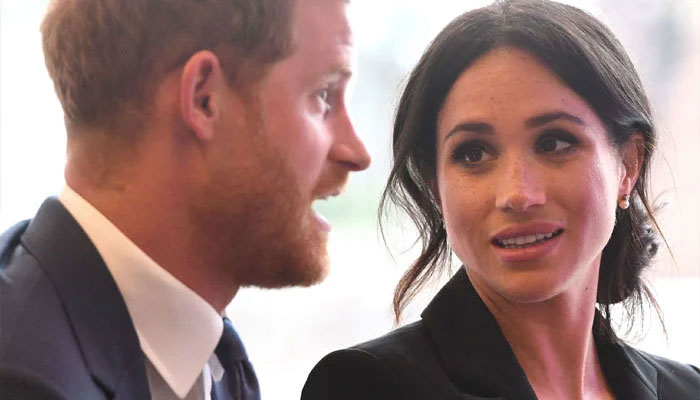 Prince Harry, Meghan Markle’s ideas are ‘completely impractical and impossible’