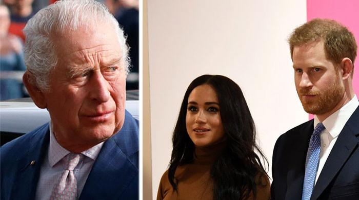 Prince Harry, Meghan Markle are ‘bitter, grenade throwers on a kamikaze ...