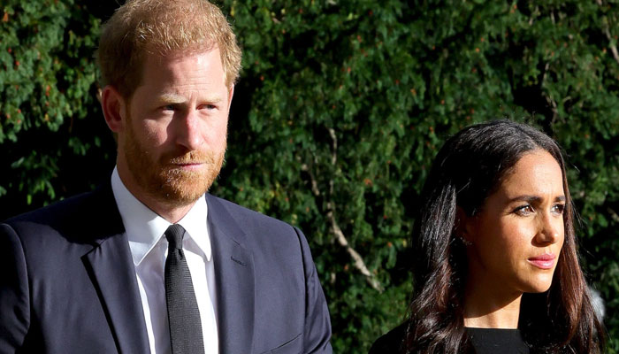 Prince Harry, Meghan Markle saved by Palace over grounds of confidentiality