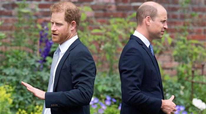 Prince Harry’s Latest Statement Dubbed A ‘snub’ To Prince William