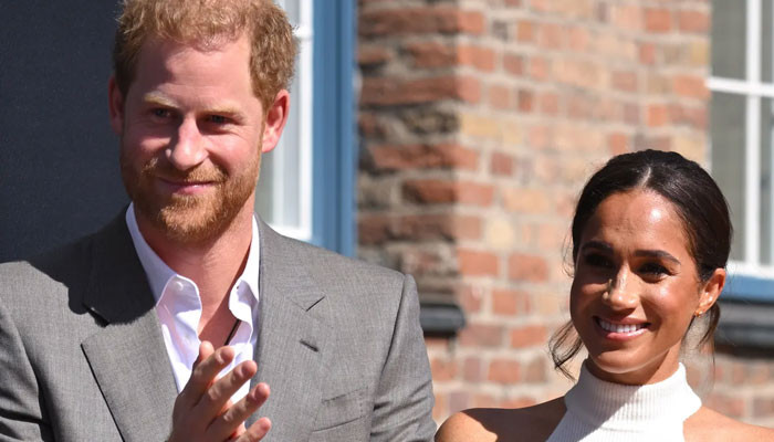 Prince Harry, Meghan Markle given ways to 'earn' more money