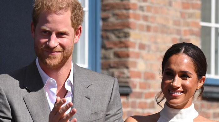 Prince Harry, Meghan Markle Given Ways To 'earn' More Money