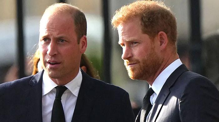 Prince Harry’s teaching Archie, Lilibet its ‘open season’ on privacy