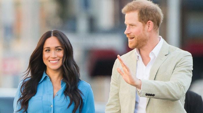 Prince Harry And Meghan Markle’s Netflix Series Dubbed As ‘fiction’ Amid Hca Nomination