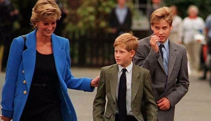 Princess Diana would have been Prince Harry, Prince William’s guide to dating if she was alive?