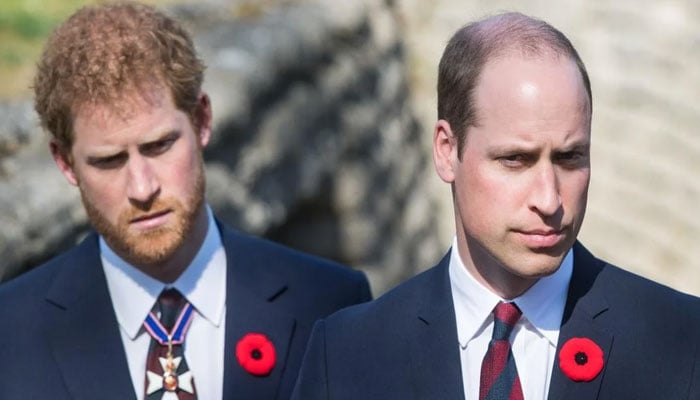 Prince Harry, Prince William on phone to undo Megxit?