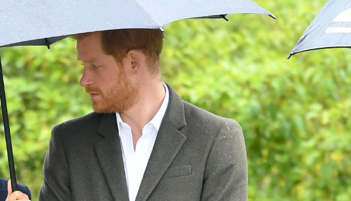 Prince Harry is sparking ‘genuine disgust’ among UK’s upper crust