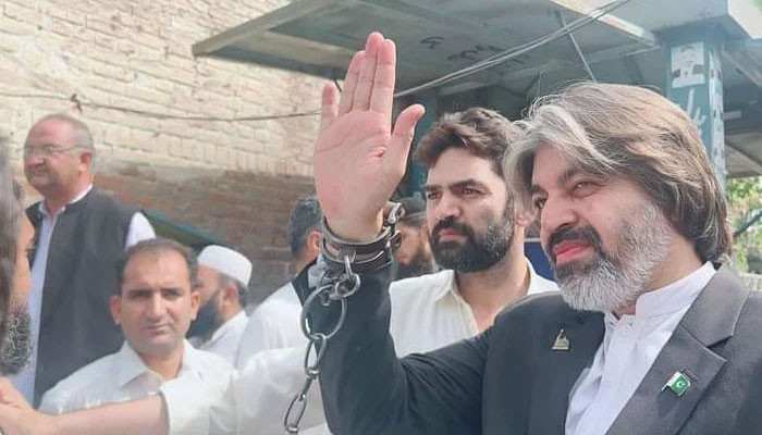 PTI’s Ali Muhammad Khan walks free from jail on PHC order