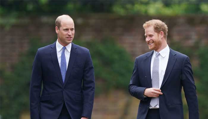 Prince William and Prince Harry