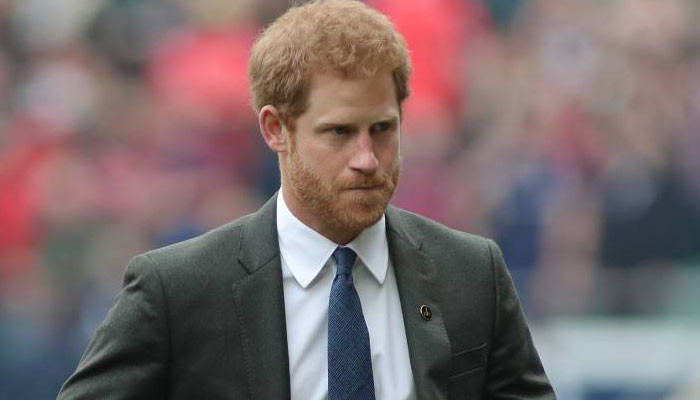 Prince Harry could have ‘easily prevented’ the ‘great rupture’ of Megxit