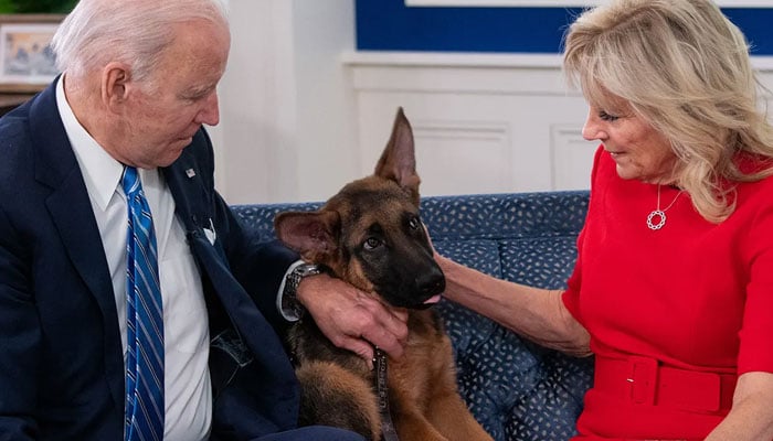 US President Joe Biden and US First Lady Jill Biden, look at their new dog Commander, after speaking virtually with military service members to thank them for their service and wish them a Merry Christmas, from the South Court Auditorium of the White House in Washington, DC, on December 25, 2021. AFP/File