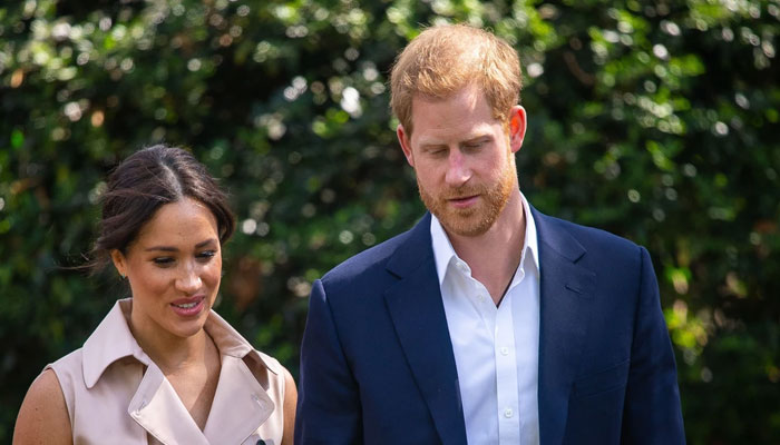 Prince Harry, Meghan Markle are fixated on becoming global icons