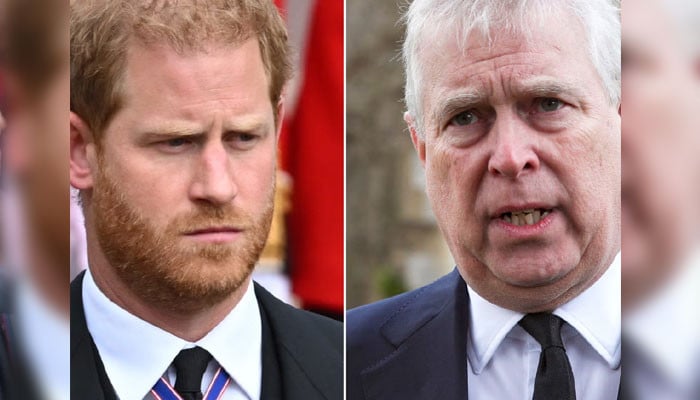 ‘Spare One & Two’ Prince Andrew, Harry wreak havoc on Firm as if its a ‘birthright’