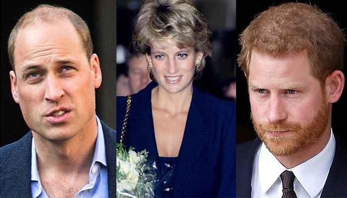 Prince Harry set to scratch William’s wound