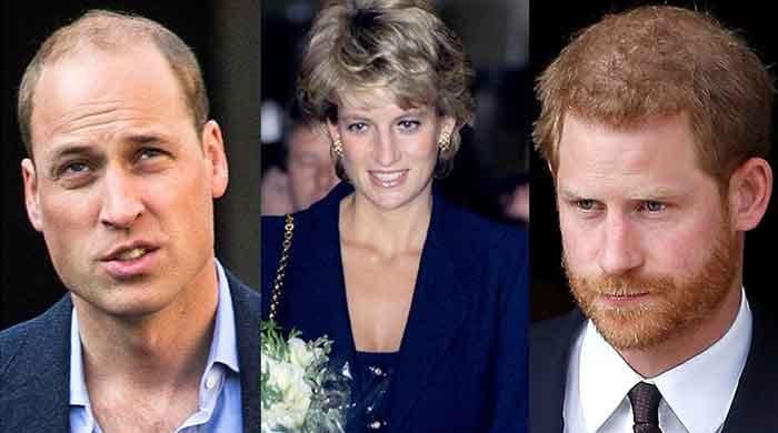 Prince Harry Set To Scratch William's Wound