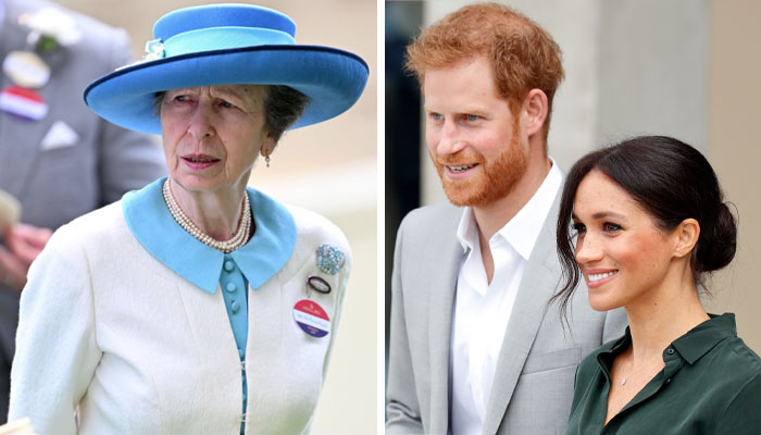 Princess Anne’s subtle swipe at Prince Harry, Megan Markle laid bare