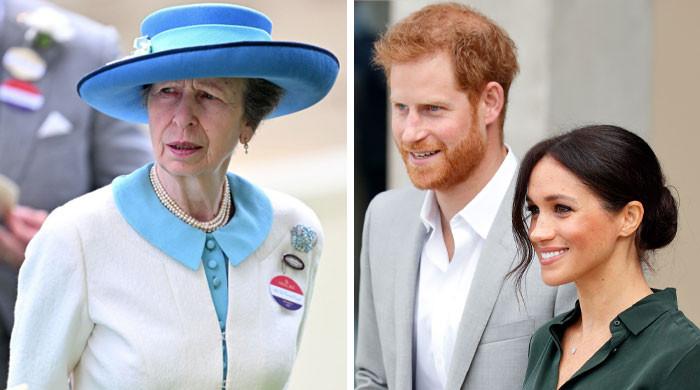 Princess Anne’s subtle swipe at Prince Harry, Megan Markle laid bare