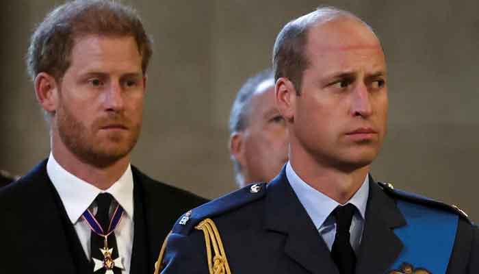 Prince Harry sends a message to King Charles, Prince William?