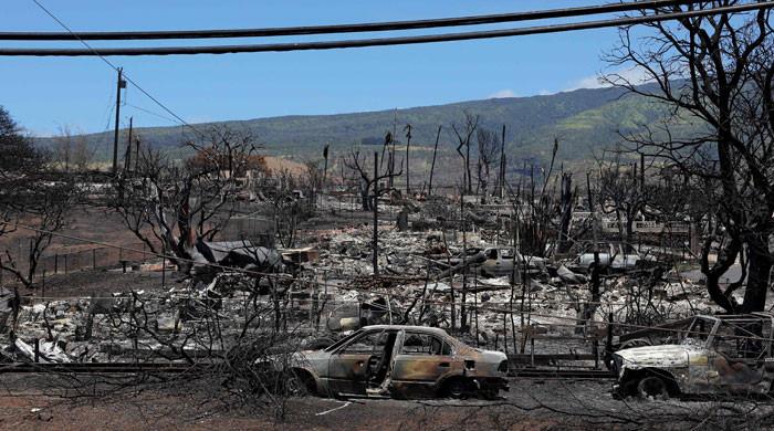 Hawaii wildfires: Former US army general rakes over ashes of her native ...