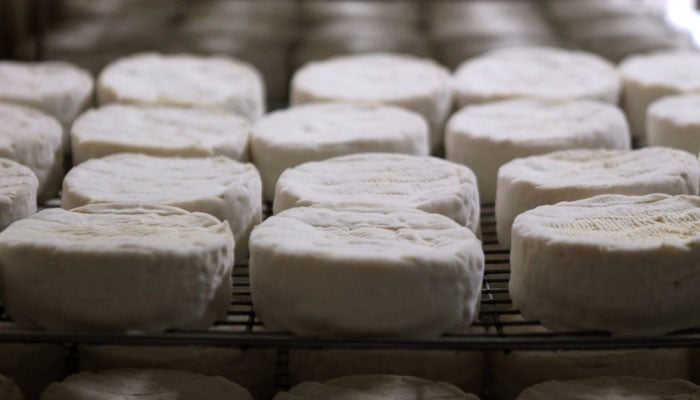 The image shows processed cheese in a bakery. — AFP