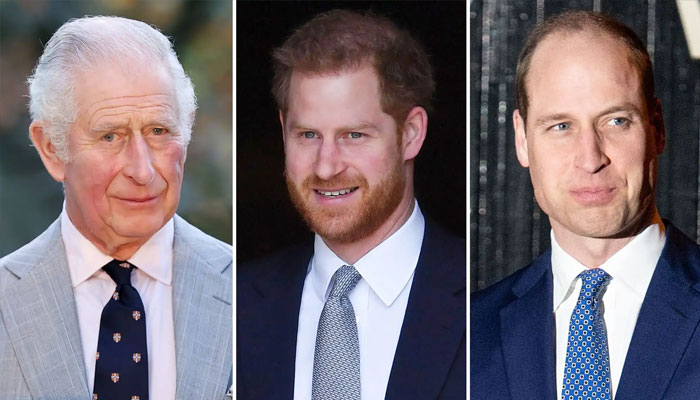 Prince William’s friend refutes claims of ‘peace talks’ with Prince Harry