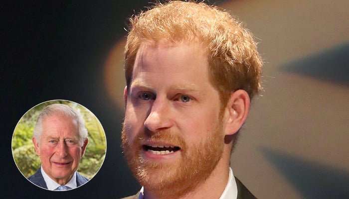 Prince Harry seemingly told King Charles about wanting to go down an unconventional career path