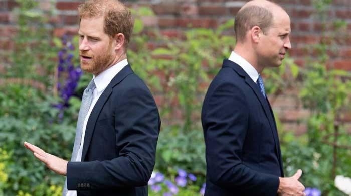 Prince William Doesn’t Want To Look Like 'hypocrite' Harry