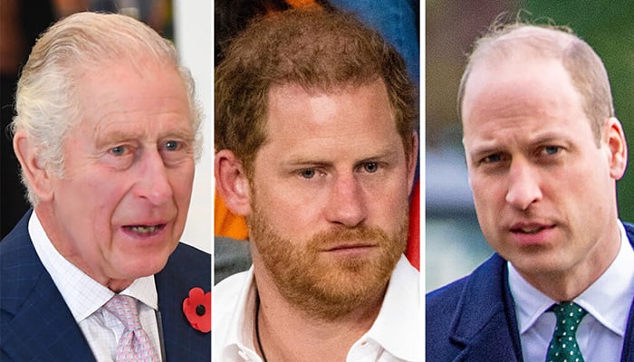 Prince Harry has 'no intention' of reconnecting with King Charles ...