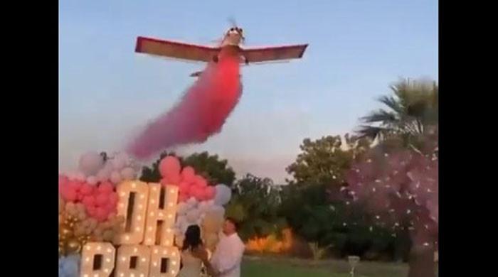 Video Tragedy As Pilot Performing Gender Reveal Stunt Dies In Plane Crash