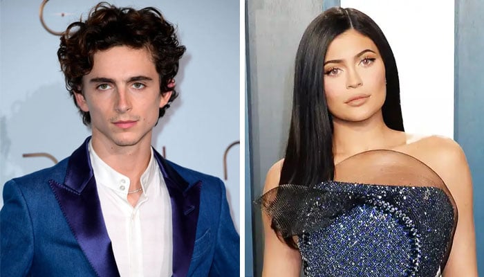 Kylie Jenner Timothee Chalamet Confirm Romance With Public Pda At Beyonce Concert 