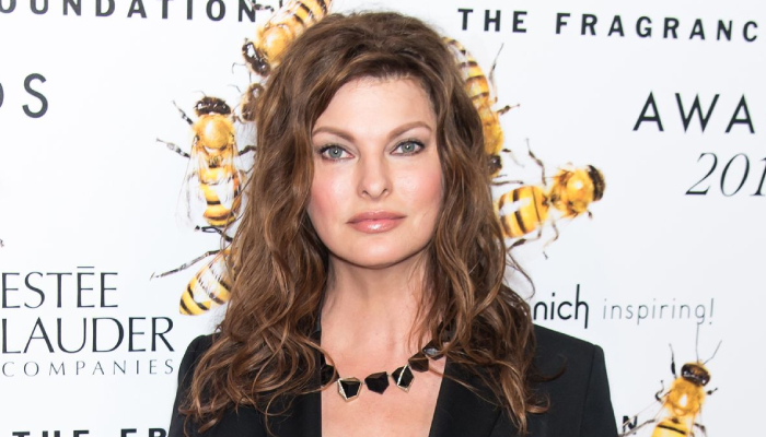 Linda Evangelista shares her breast cancer battle for first time: one foot in grave