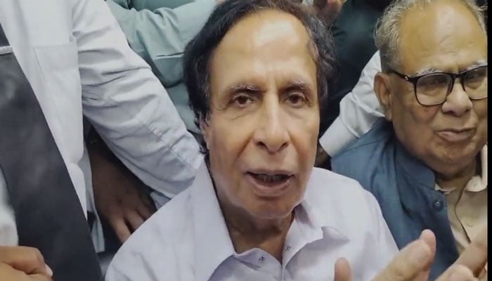 Pakistan Tehreek-e-Insaf (PTI) President Parvez Elahi. — X/@MurtazaViews