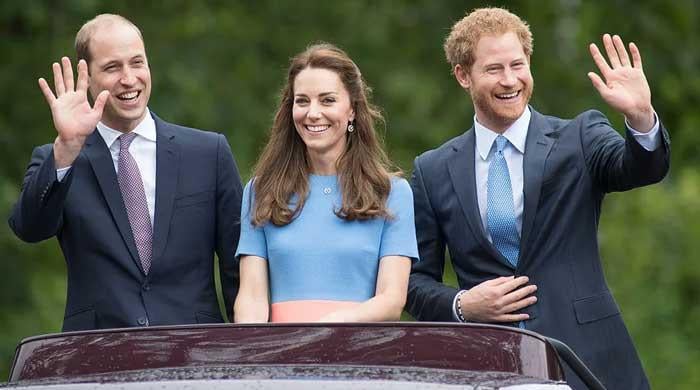 Prince William Kate Middleton Avoid Prince Harry In Uk 2955