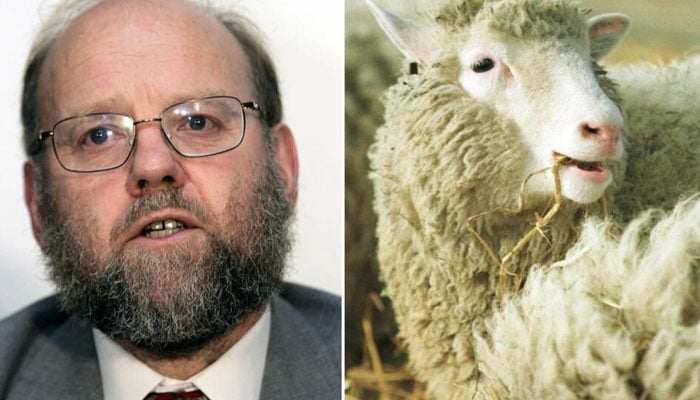 Dolly the sheep scientist Sir Ian Wilmut dies at 79, Science