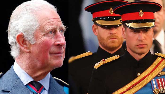 Prince William or Harry: Who will succeed King Charles on British throne?