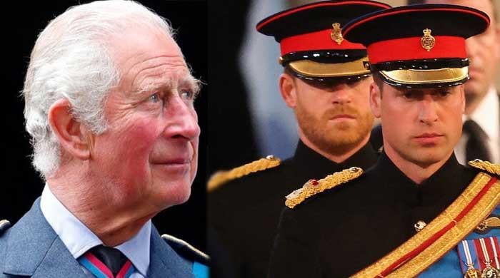 King Charles: Who will succeed him on the British throne?