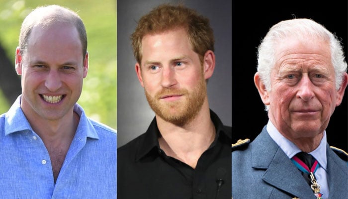 Prince William (L), Prince Harry (C), King Charles (R)