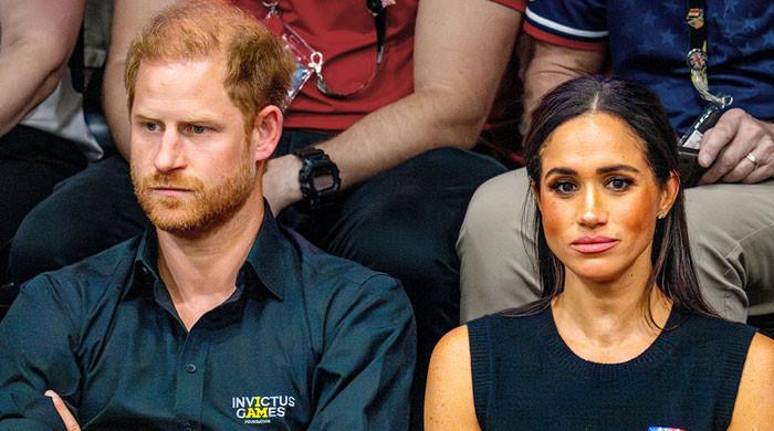 Prince Harry holding back Meghan Markle from 'launching global brand'