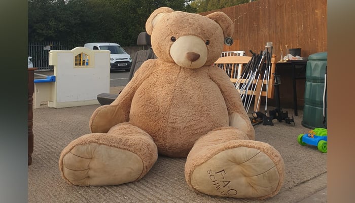 This picture posted on September 26, 2023, shows a giant teddy bear in Cambridge, UK. — Facebook/Lilly Hurley