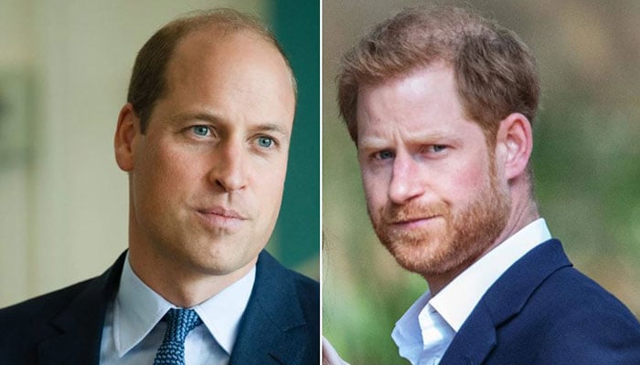 Prince William 'never came' for Prince Harry after seeing brother ...