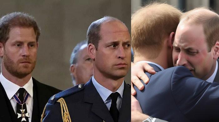 Prince William's 'confidence' Broken With Prince Harry's 'consistent ...