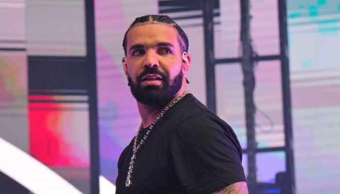 Drake comes under fire for incorporating Pet Shop and Rye Rye songs